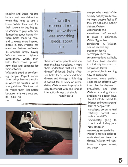 Article by Lara Darling